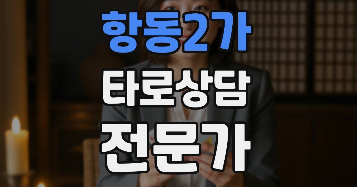 항동2가 타로상담전문가 자격증