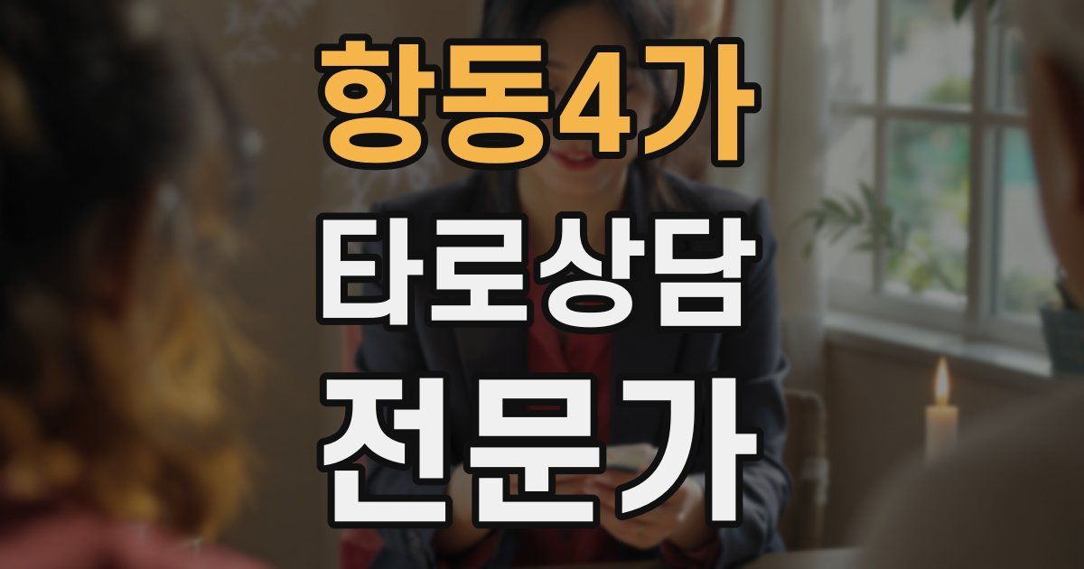 항동4가 타로상담전문가 자격증