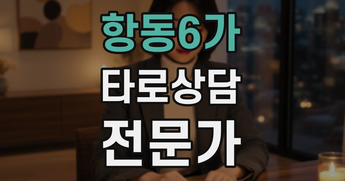 항동6가 타로상담전문가 자격증
