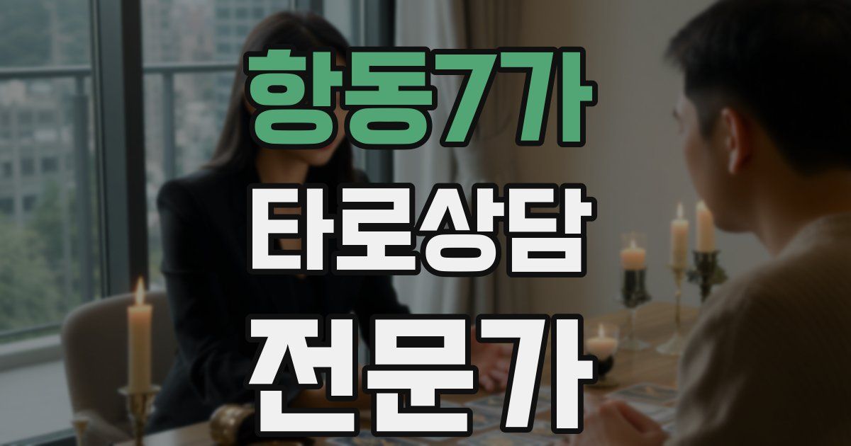 항동7가 타로상담전문가 자격증