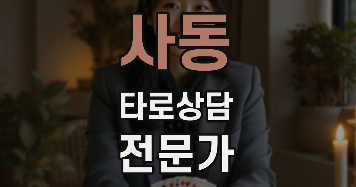 사동 타로상담전문가 자격증