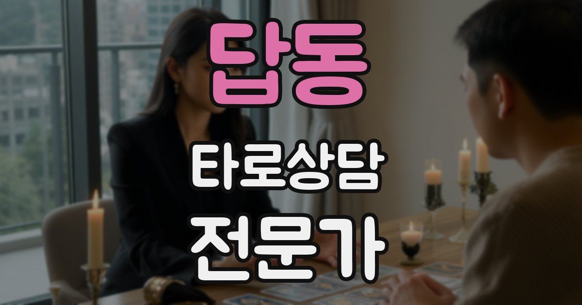 답동 타로상담전문가 자격증