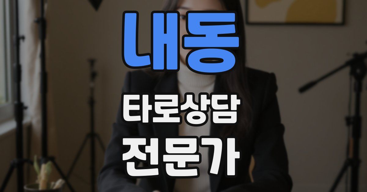 내동 타로상담전문가 자격증