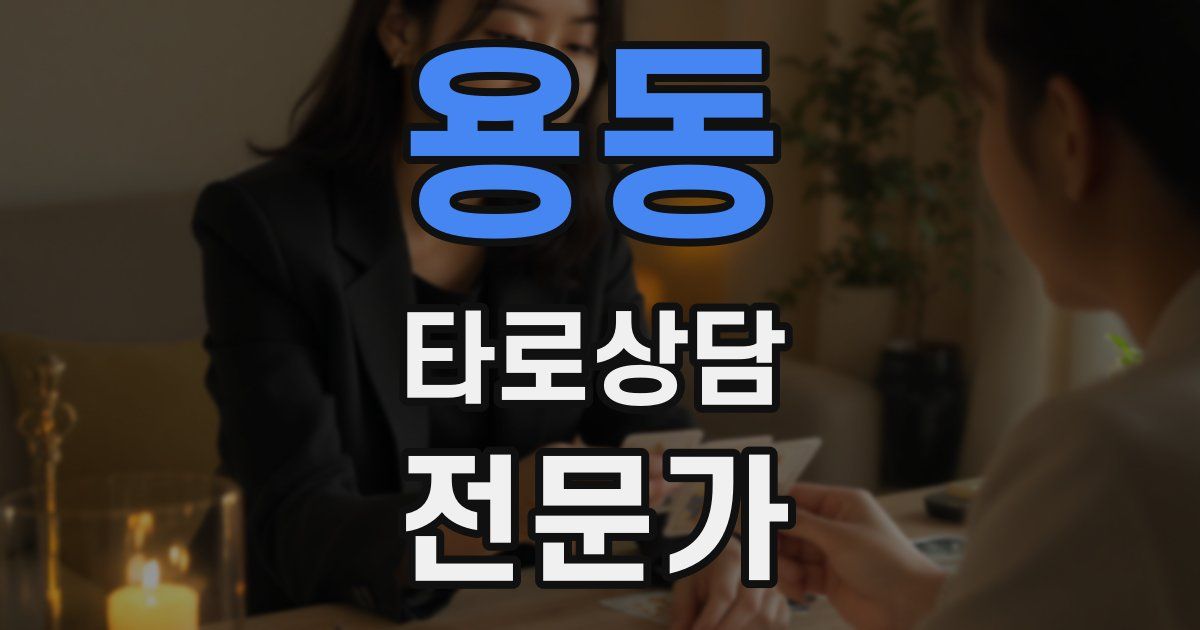 용동 타로상담전문가 자격증