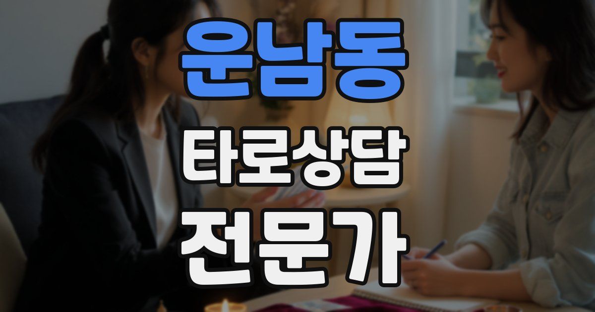 운남동 타로상담전문가 자격증