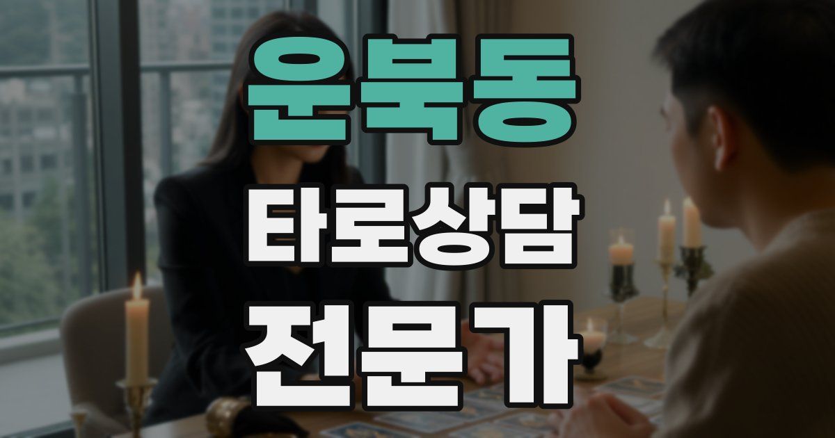 운북동 타로상담전문가 자격증