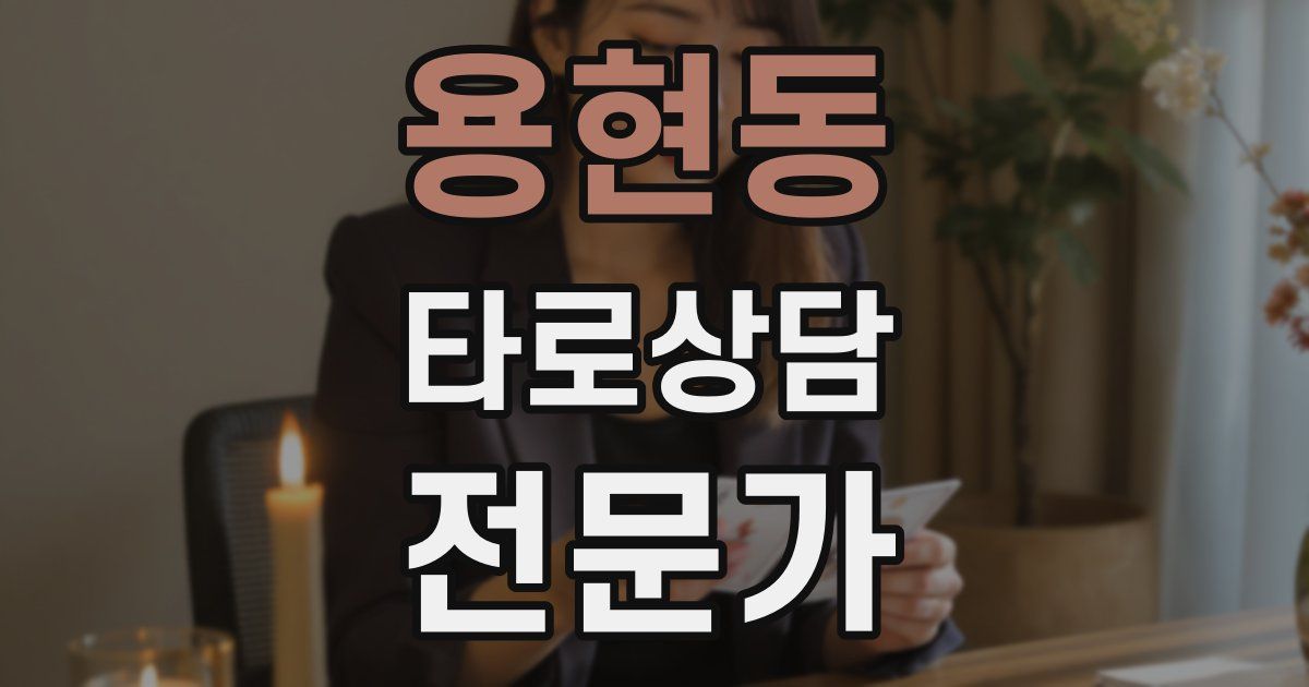용현동 타로상담전문가 자격증