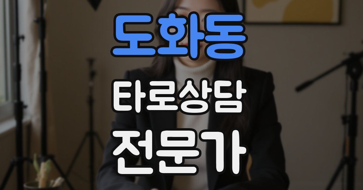 도화동 타로상담전문가 자격증