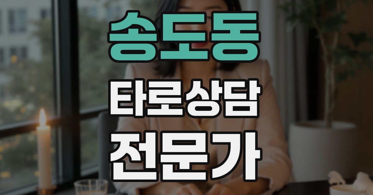 송도동 타로상담전문가 자격증