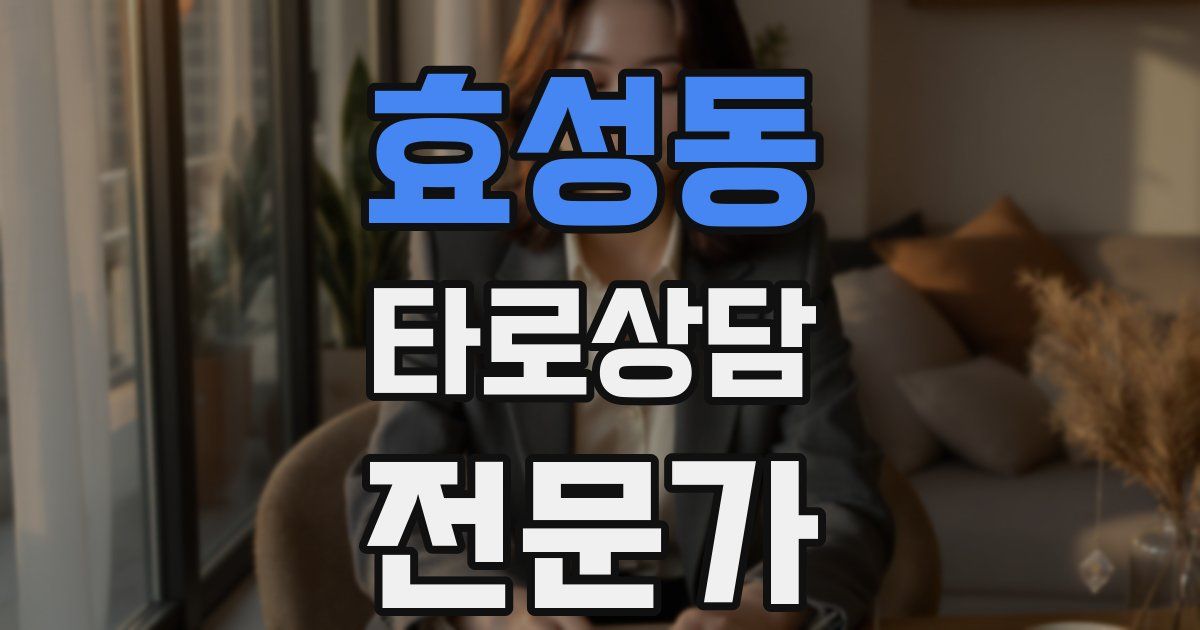 효성동 타로상담전문가 자격증