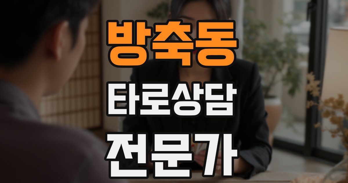 방축동 타로상담전문가 자격증