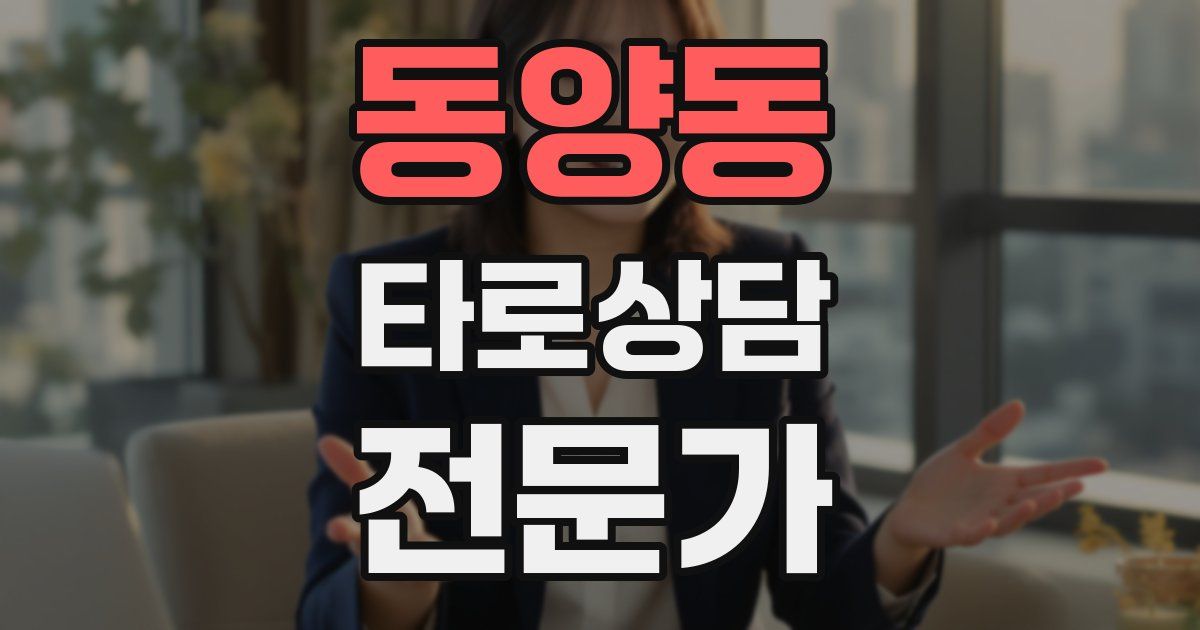 동양동 타로상담전문가 자격증