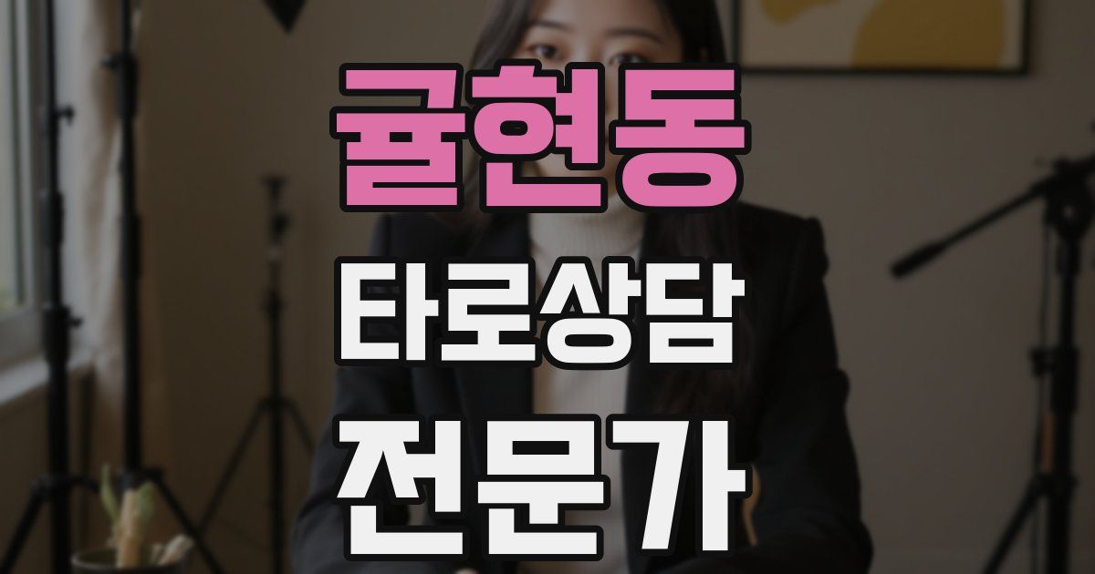 귤현동 타로상담전문가 자격증