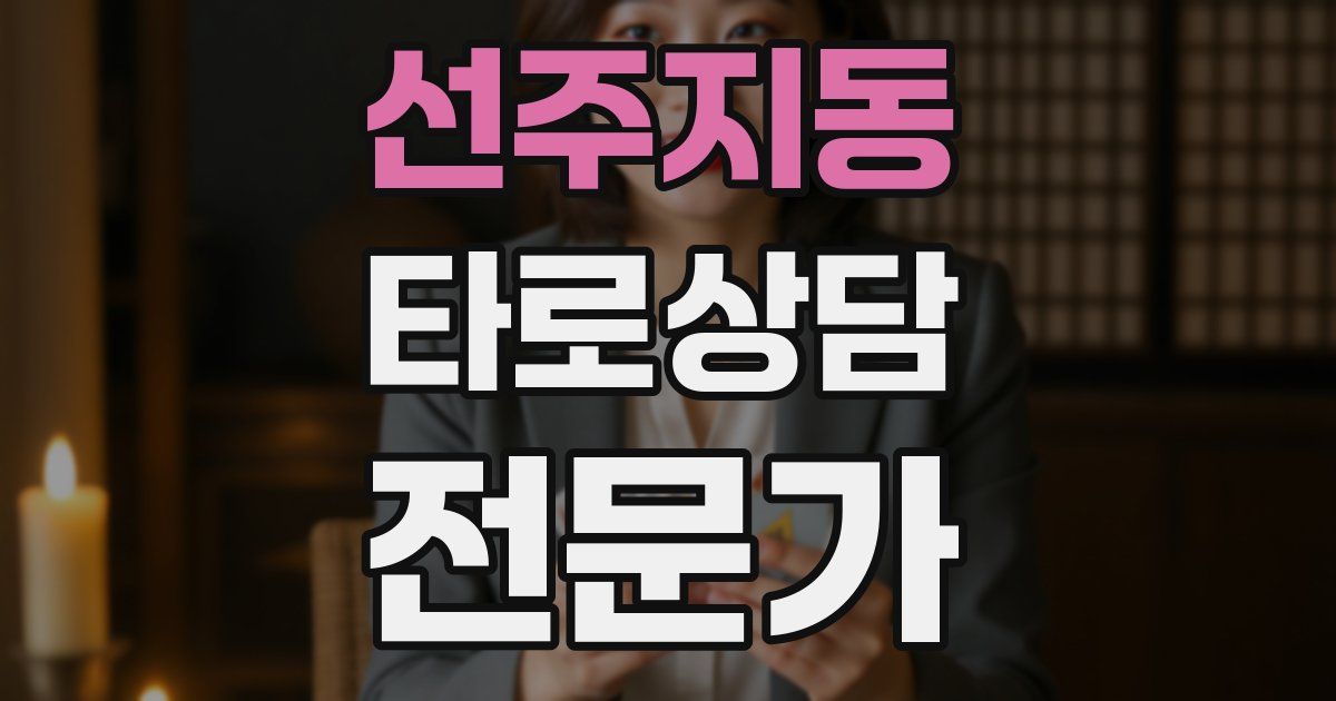 선주지동 타로상담전문가 자격증