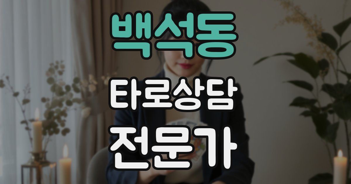 백석동 타로상담전문가 자격증