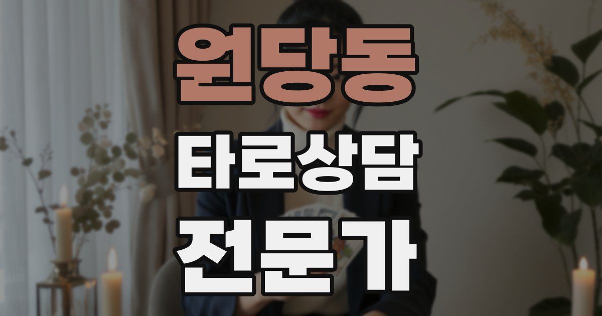 원당동 타로상담전문가 자격증