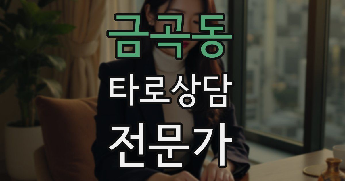 금곡동 타로상담전문가 자격증