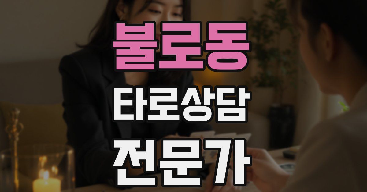 불로동 타로상담전문가 자격증