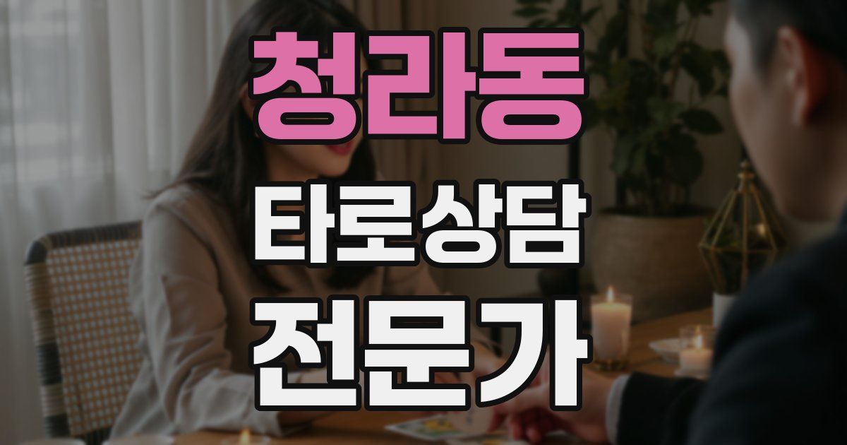 청라동 타로상담전문가 자격증