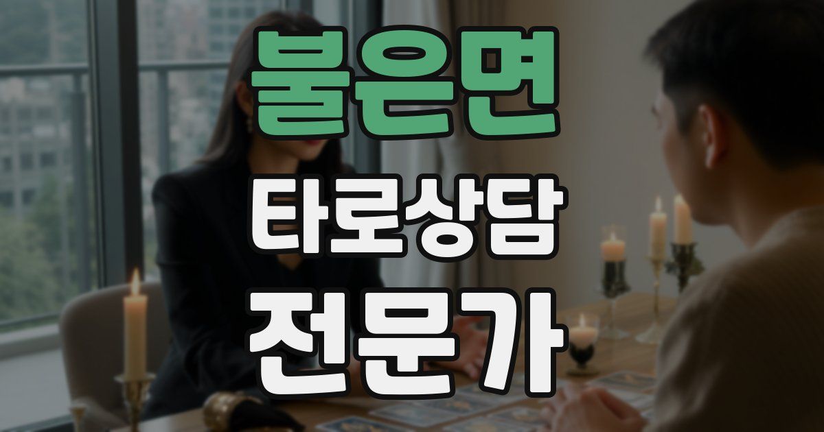 불은면 타로상담전문가 자격증