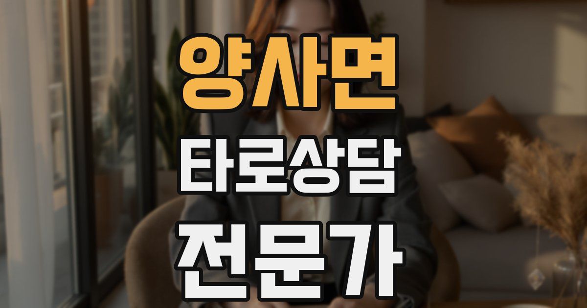 양사면 타로상담전문가 자격증