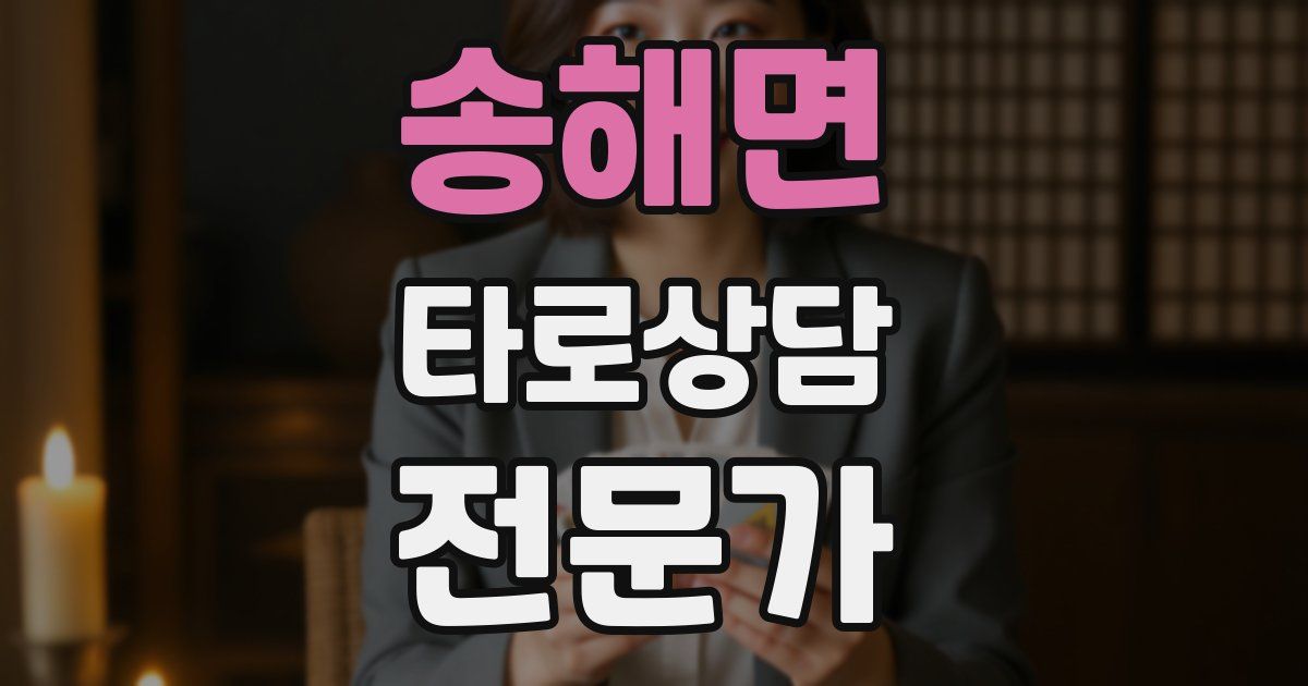 송해면 타로상담전문가 자격증