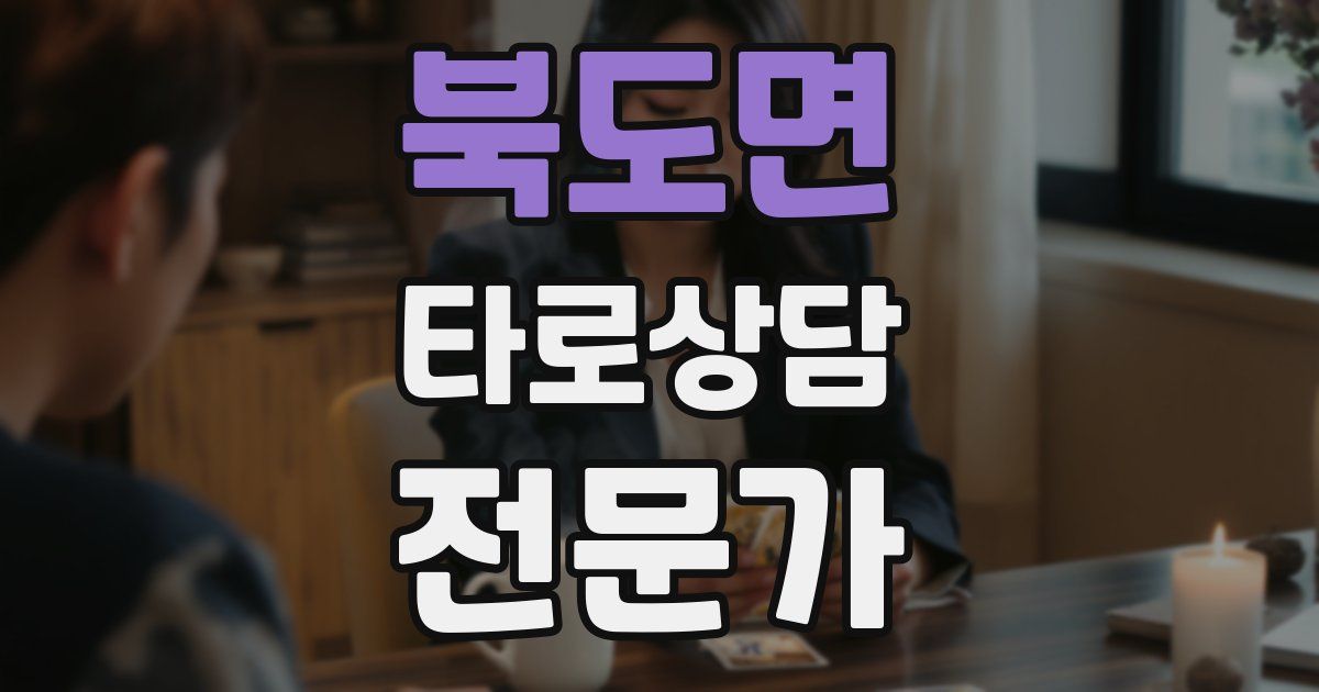 북도면 타로상담전문가 자격증