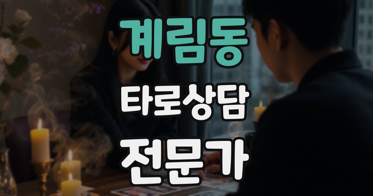 계림동 타로상담전문가 자격증