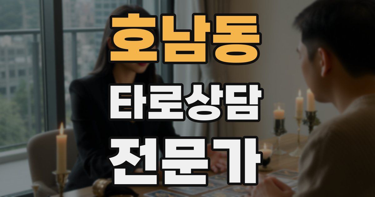 호남동 타로상담전문가 자격증