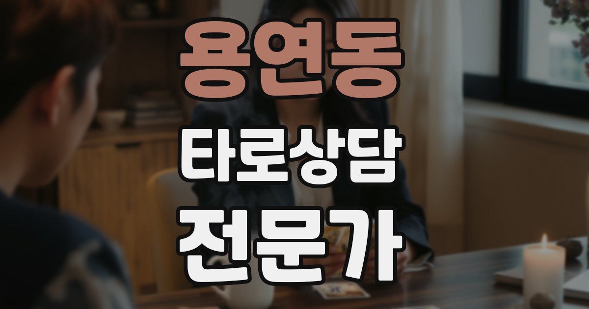 용연동 타로상담전문가 자격증