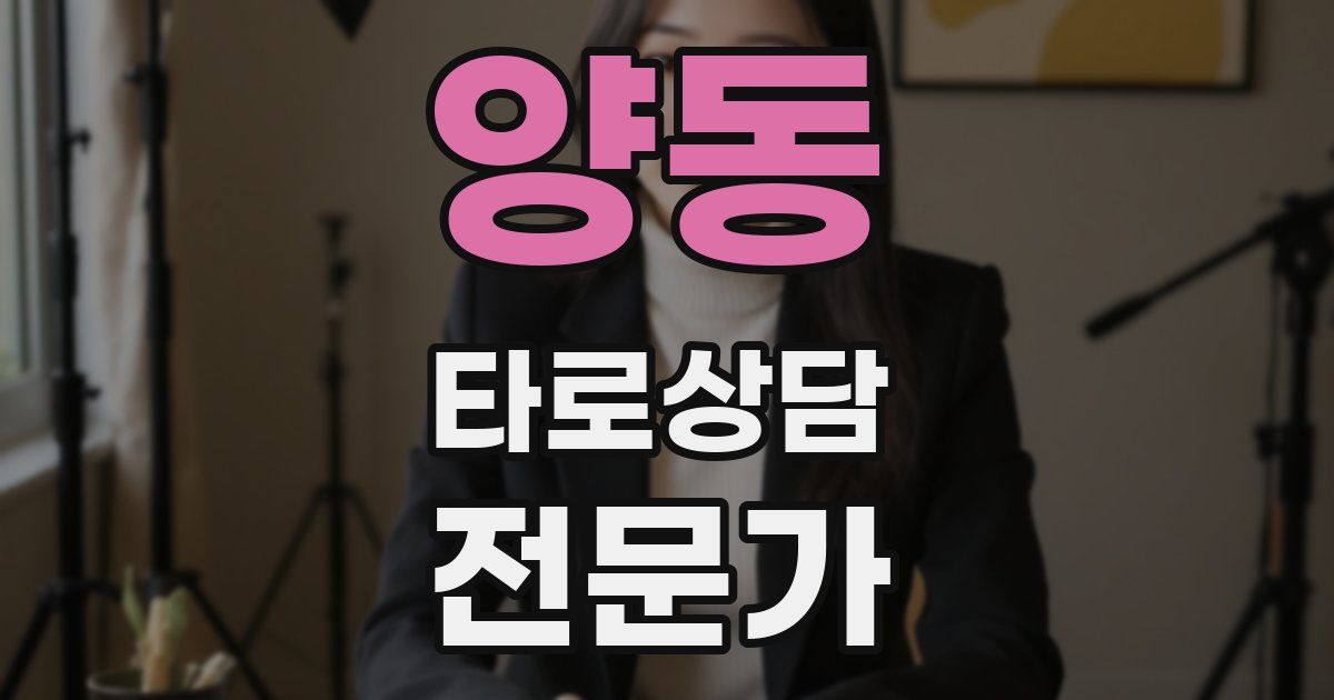 양동 타로상담전문가 자격증
