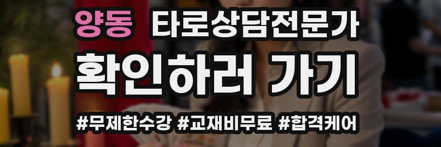 양동 타로상담전문가 자격증