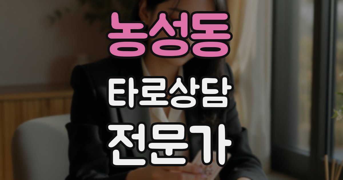 농성동 타로상담전문가 자격증