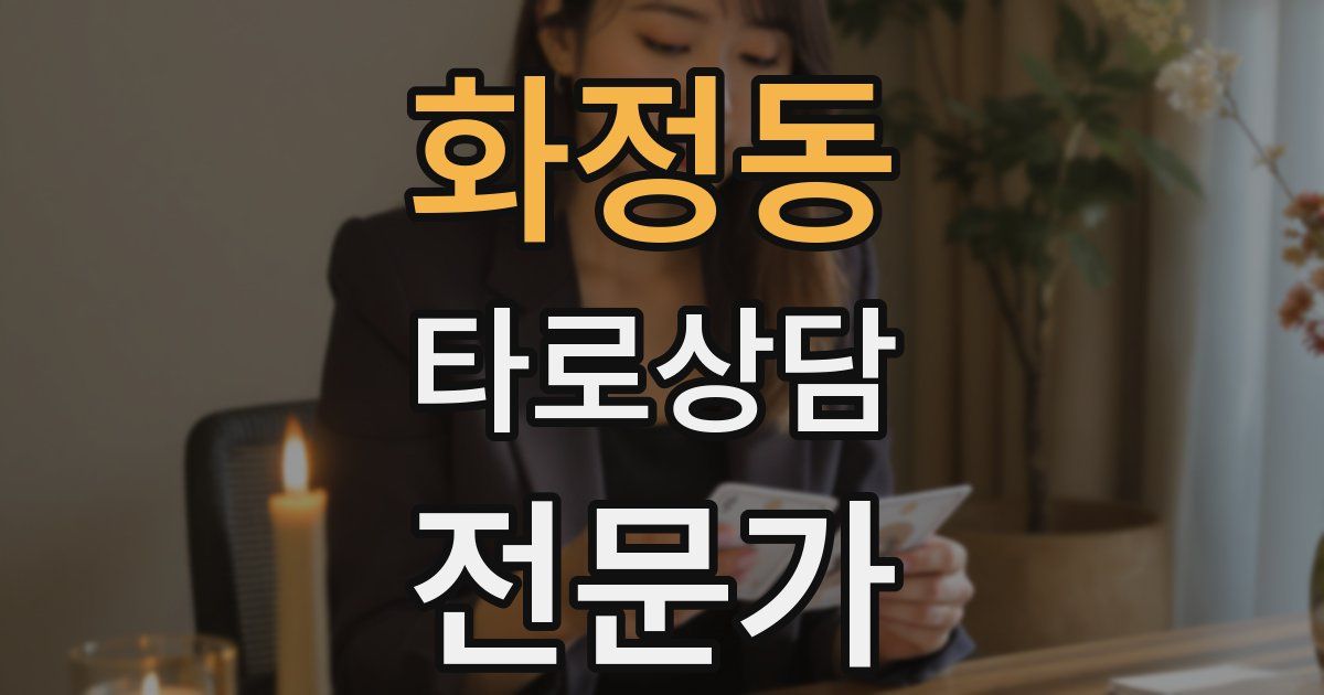 화정동 타로상담전문가 자격증