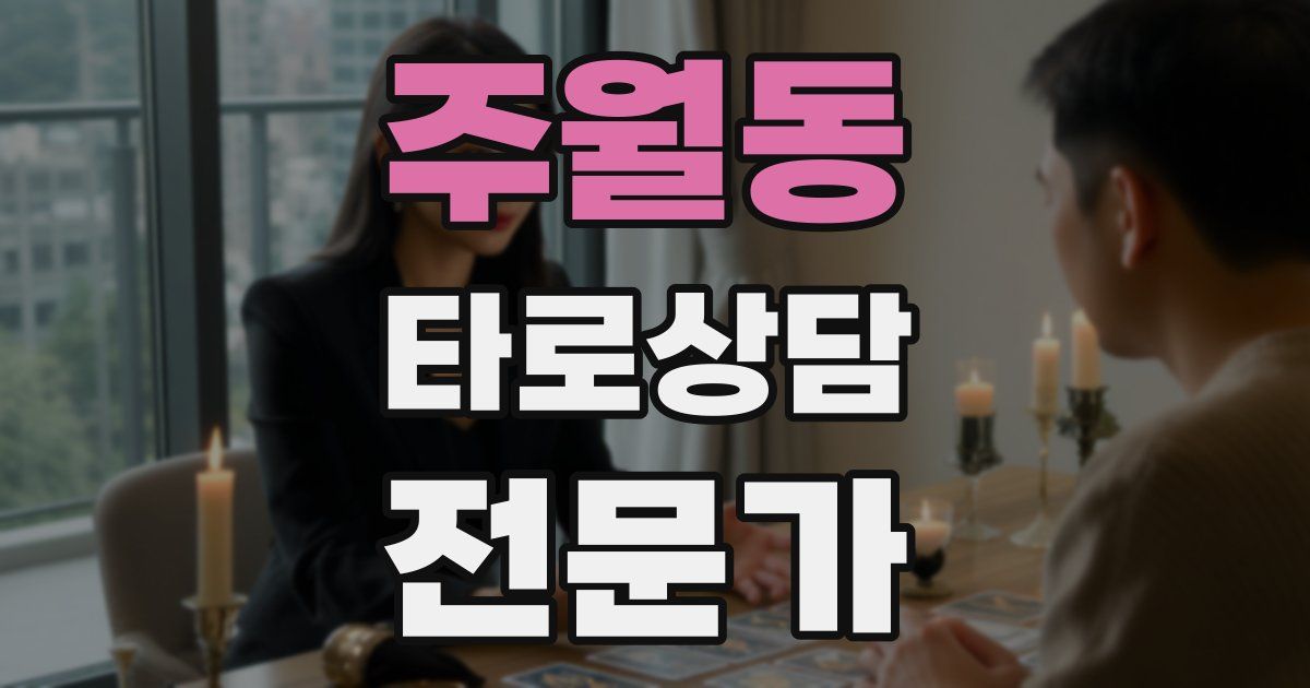 주월동 타로상담전문가 자격증