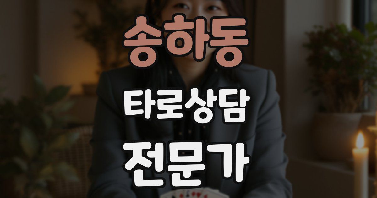 송하동 타로상담전문가 자격증
