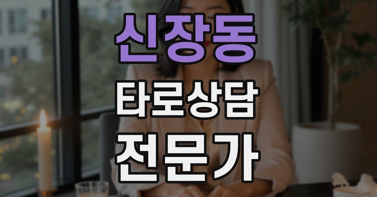 신장동 타로상담전문가 자격증