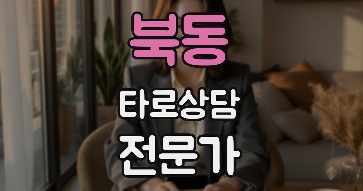 북동 타로상담전문가 자격증