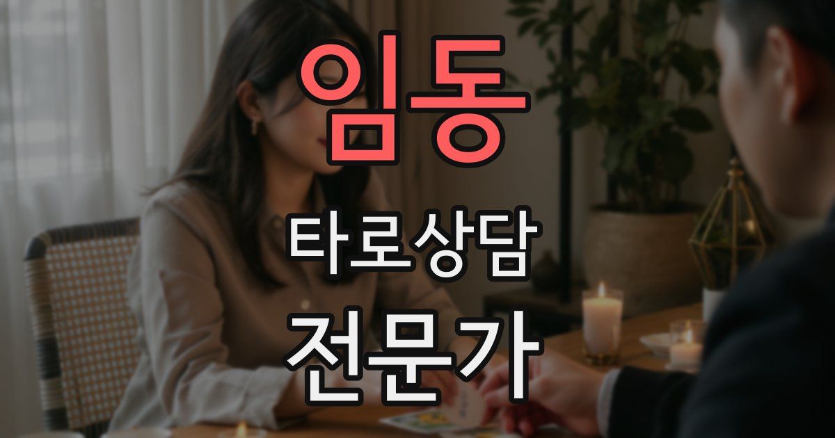 임동 타로상담전문가 자격증