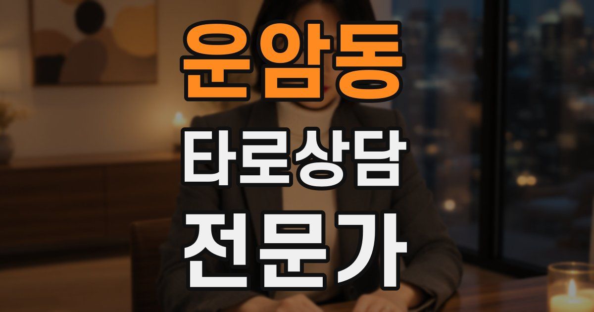 운암동 타로상담전문가 자격증