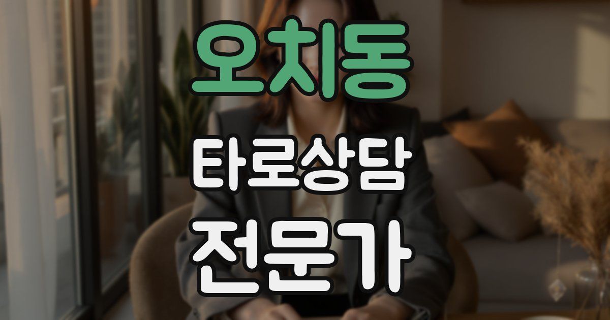 오치동 타로상담전문가 자격증