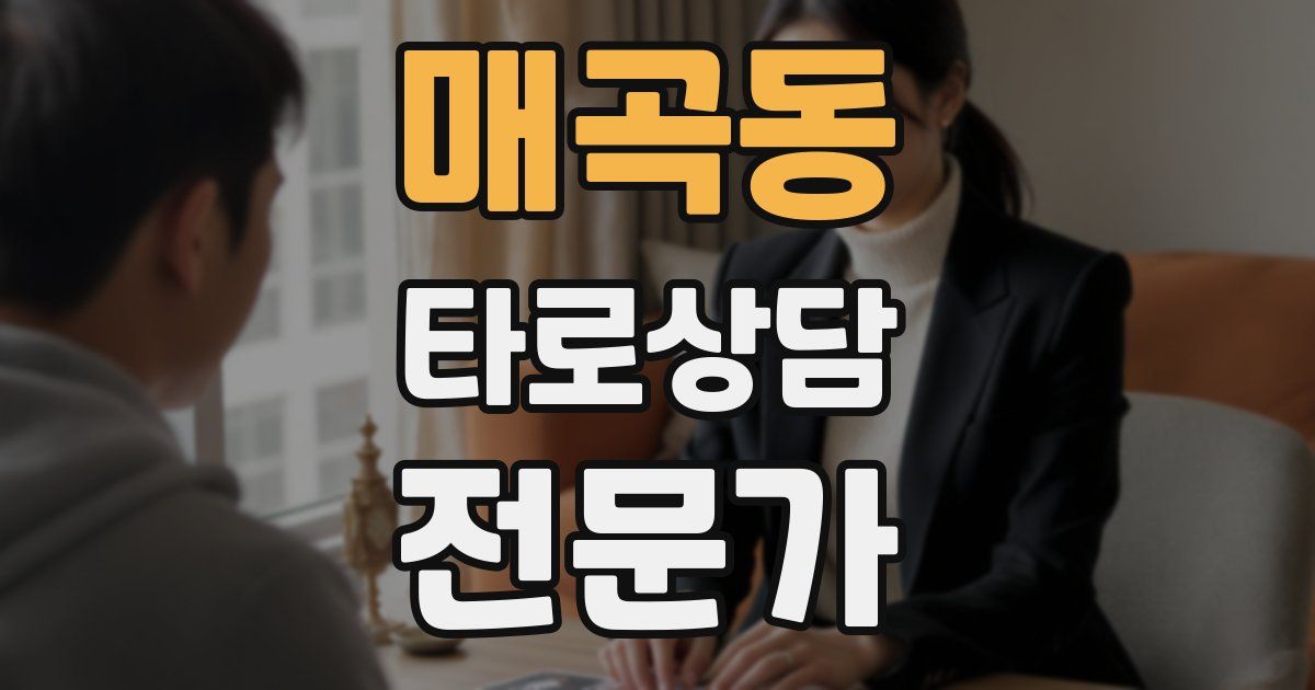 매곡동 타로상담전문가 자격증