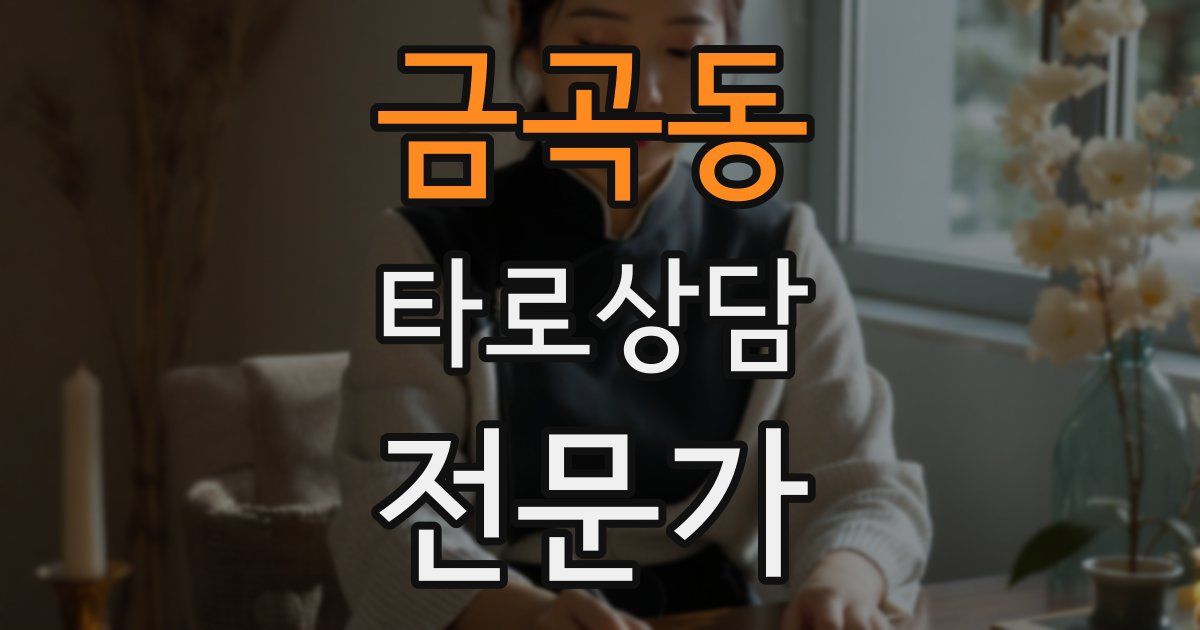 금곡동 타로상담전문가 자격증