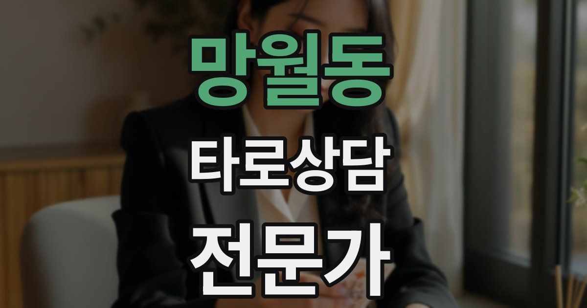 망월동 타로상담전문가 자격증