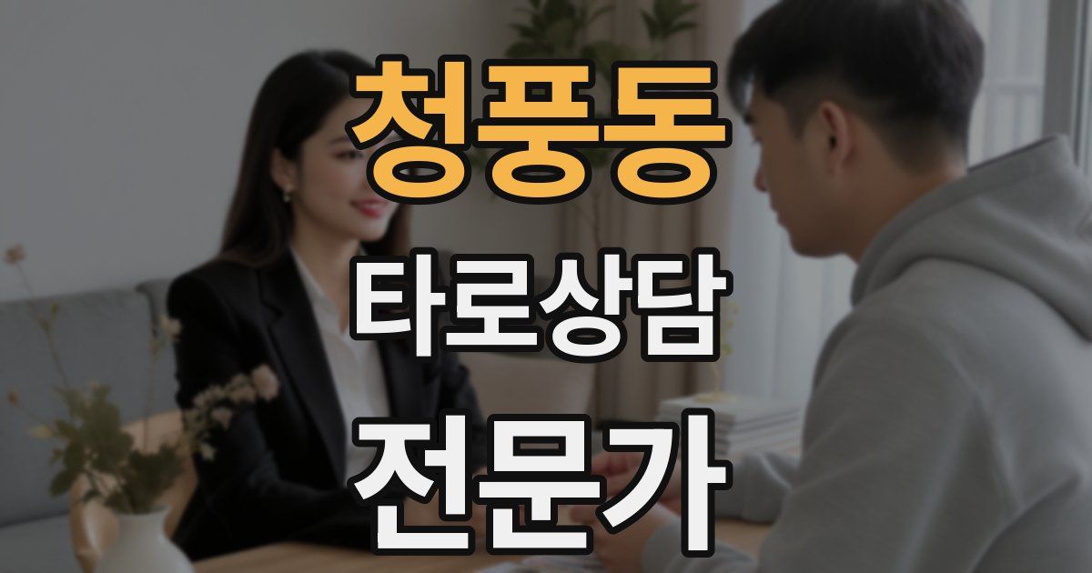 청풍동 타로상담전문가 자격증