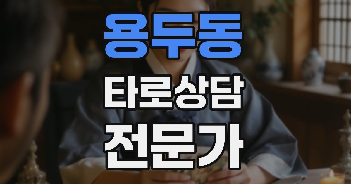 용두동 타로상담전문가 자격증