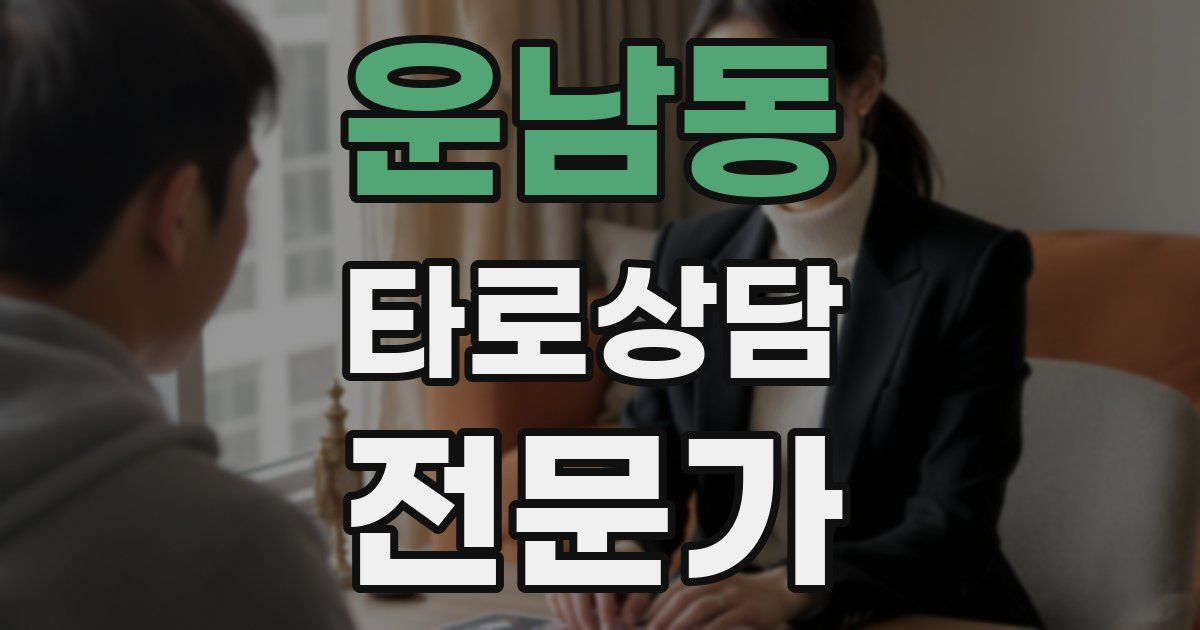 운남동 타로상담전문가 자격증