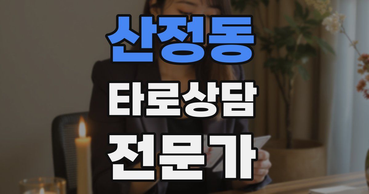 산정동 타로상담전문가 자격증