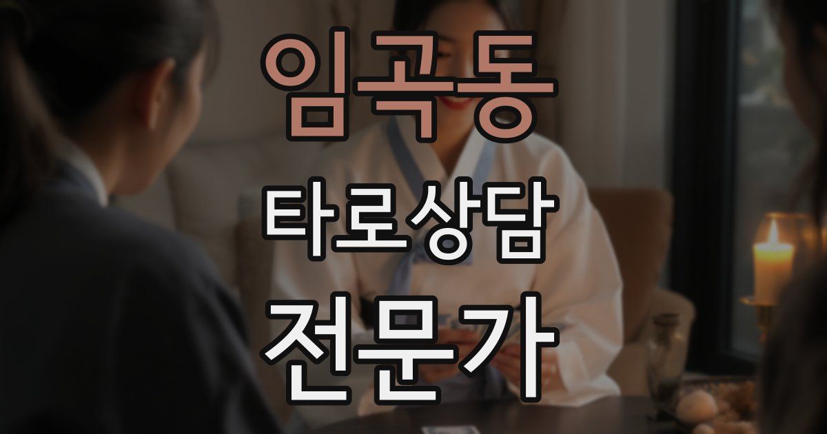임곡동 타로상담전문가 자격증