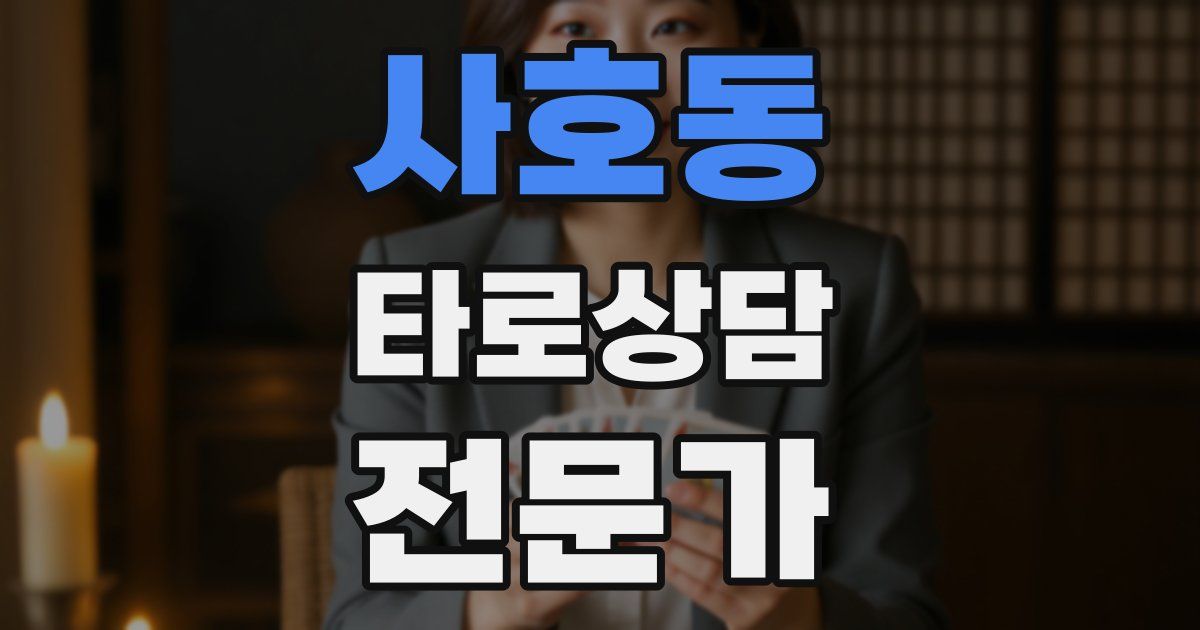 사호동 타로상담전문가 자격증